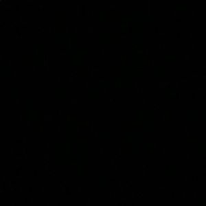 Meet your Posher, Allyson